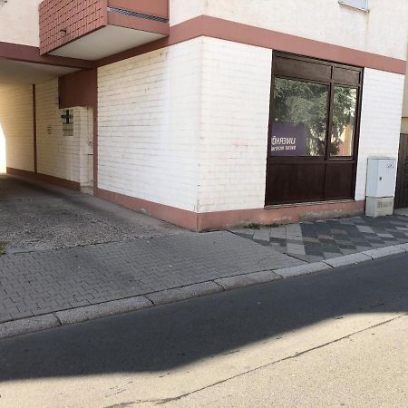 Monteurwohnung Im Zentrum Worms Kültér fotó